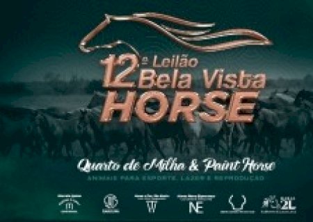 LEILÃO BELA VISTA HORSE