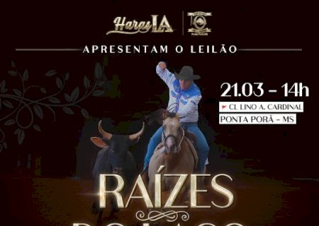 1º LEILÃO RAIZES DO LAÇO