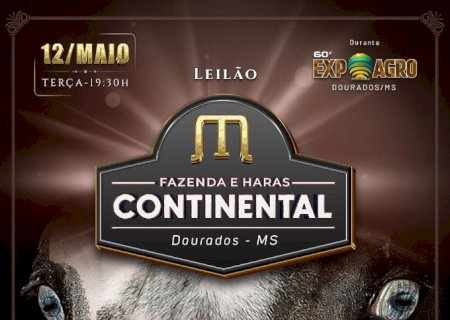 LEILÃO FAZENDA E HARAS CONTINENTAL