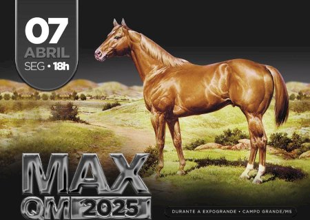 LEILÃO MAX QM 2025