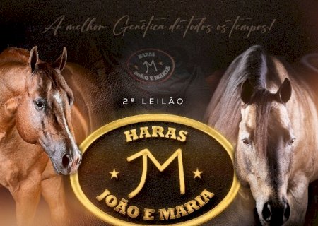 LEILAO HARAS JOAO E MARIA