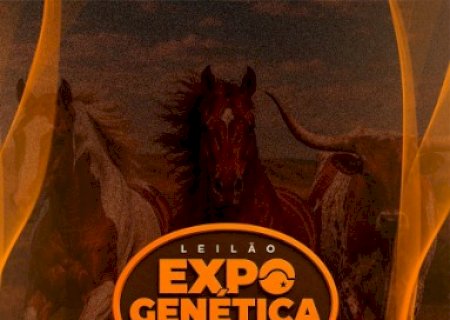 LEILÃO EXPOGENÉTICA QM & PH