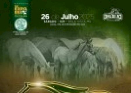 15º LEILÃO BELA VISTA HORSE