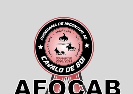 2º LEILÃO AFOCAB