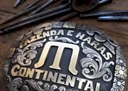 CONTINENTAL CUP
