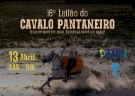17° LEILÃO DO CAVALO PANTANEIRO